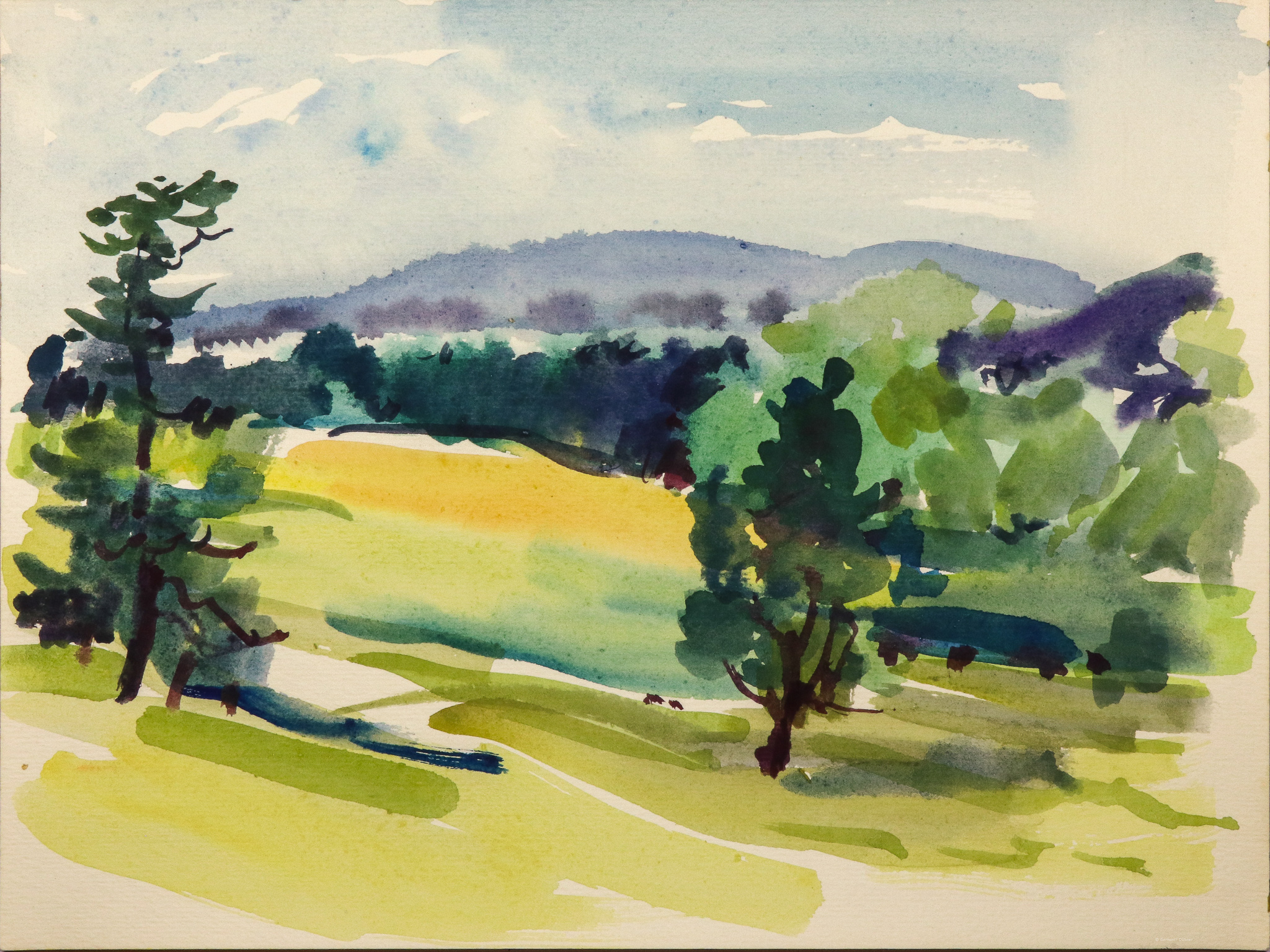 Wiesen vor Gebirge